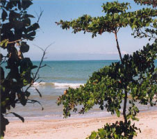Northern Honduras beach